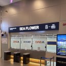 호:웨이 | &lt;대마도당일치기여행&gt; 히타카츠에서 밸류마트오우라 버스시간 바뀜!!｜씨플라워호 후기