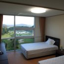 신안골프 이미지