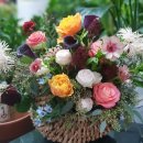 스타일바스켓(Style basket)