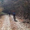 팽나무펜션 이미지