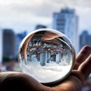 전복이야기 이미지