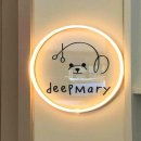 딥마리(deepMary) 이미지