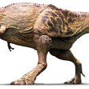 크린프로 이미지