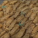 토요시장 이미지