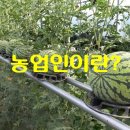 진현축산 네이버블로그