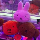 짱오락실 종로점 | 종로 종각역 인형뽑기 지도 도파민은 늘 마지막에 터져