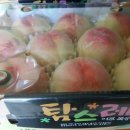 동승농장 이미지