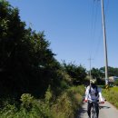 안양중앙시장 이미지