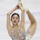 신지아 카카오 검색결과