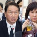 극심한 고통”..노소영, 최태원 SK회장 동거인에 30억 위자료 소송 이미지