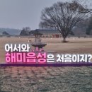 황금호떡분식 이미지