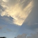 하늘멍가 이미지