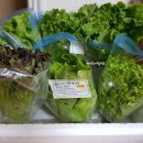 성창농장 이미지