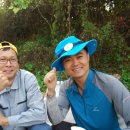 꿈꾸는 정원 이미지