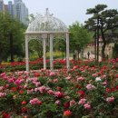 고인돌공원 Daum카페