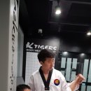 케이타이거즈(KTIGERS) 태권도장 이미지