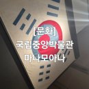 신성태권도 | 국중박(국립중앙박물관)에서 데니태극기, 마나모아나 상설전시, 사유의방, 그리고 국기원 태권도 공연