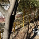 대둔산빌리지 | 감성숙소 추천! 낮엔 햇살, 밤엔 불멍… 대둔산의 가을 낭만 즐기기 좋은 대둔산캠핑펜션 수빌리지펜션