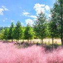 바다마중 이미지