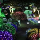 동산농장(1) 이미지