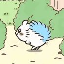 이야~~ 야다!야다! 이미지