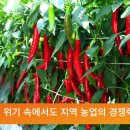 영양군, 지속가능 농업 전환 속도… “부자 농촌 도약 기반 마련” 이미지