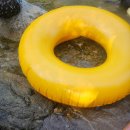 초롱이와두리 민박 이미지