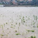 서울상암초등학교 이미지