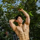 엠에이치(MH)프리미엄 이미지