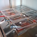 평대전복 이미지