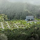 세종팜스 이미지