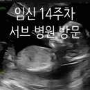 판교삼성정신건강의학과의원 | 임신 14주차 기록 : 판교 서브병원 방문 &amp; 끝나지 않은 입덧의 굴레 (feat. 린산부인과)