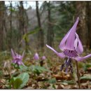 오대산가마솥식당 이미지