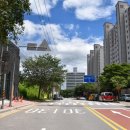 김안정 묘 및 출토묘비 이미지