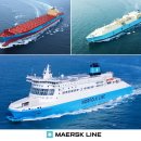 스타일을 입는다 이미지