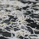 그라제농산 이미지