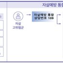109 헤럴드경제