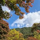 달궁자동차야영장 | 지리산 단풍 캠핑 최고의 명소. 달궁2야영장 리모델링 후기