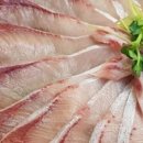 속초오징어어시장 안산고잔점 이미지