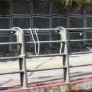 4D 맥스라이더(홈플러스 밀양점) | 2024.11. 上