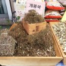 대구 약령시장 이미지