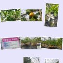 거제시 농기계임대사업장 이미지