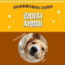 아이맘동물의료센터 이미지