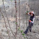 시동농장 이미지