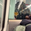 책과비디오산책 | (덴마크 워홀)(코펜하겐) Copenhagen 생활 280일차.. 일상 사진 털기