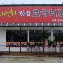 자성화
