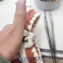 서울룬치과의원 이미지