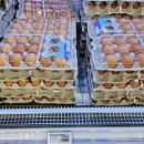 장항양계 이미지