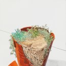 별밤미술관 in 선운 이미지
