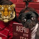 2023 양천문화재단 송년음악회 르엘오페라단 <Opera With Jazz> 이미지